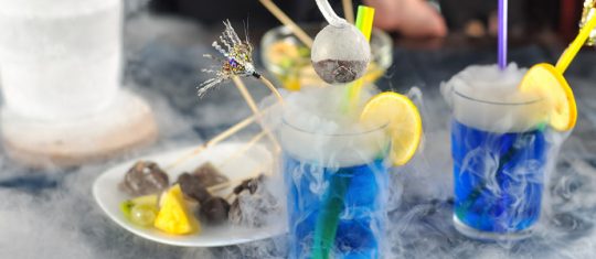 glace carbonique dans la restauration