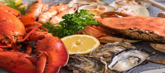 plats de fruits de mer